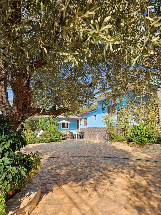 Oni Apartament Ksamil